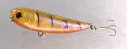 Gladiator Tackle Kozami 60 Topwater Lure -Pro Fishing Shop 11 c1b15e24 f745 46ad a3b4 4a556e315f1f