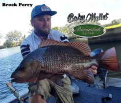 Barambah Lures - Baby Mullet 120mm -Pro Fishing Shop 74711842 2346972262279659 2290730166055337984 o