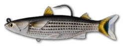 Live Target Mullet & Herring Swimbaits -Pro Fishing Shop 8091