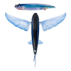 Nomad Flying Fish 140mm 9 Nomad Flying Fish 140mm -Pro Fishing Shop FF ELC Electric c5ee6a43 a180 4257 854f e430a4387b2d