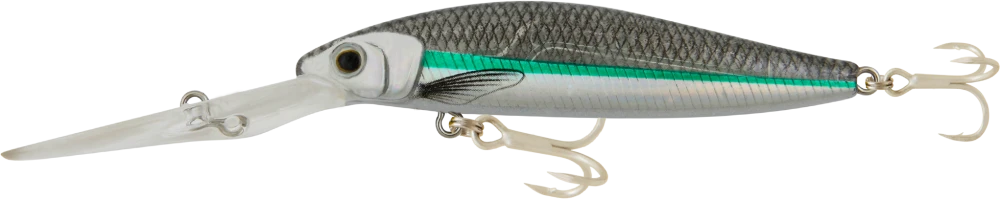 Samaki Redic DS100 7 Samaki Redic DS100 - Image 7