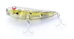 Gladiator Tackle Kozami 60 Topwater Lure -Pro Fishing Shop KZ5003 large 2ae73765 745c 407b b848 d1352f7f38d8