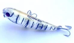 Gladiator Tackle Kozami 60 Topwater Lure -Pro Fishing Shop KZ6005 large e54db985 111e 4190 8534 0eeb793c6163