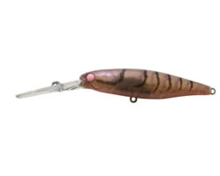 Jackall Squirrel 67SP -Pro Fishing Shop PINK EYE SUJIsquirrel 79 pink eye suji 2 1800x1800 3e348e43 c085 4ad0 8053 02bdbe36a7e1