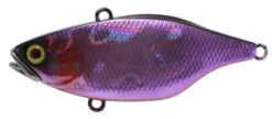 Jackall TN Series Vibes 36 Jackall TN Series Vibes -Pro Fishing Shop Purple 0715e9c0 2cc0 4bb9 99ea 315826e12937