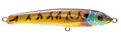 Nomad Riptide 115 Fatso Floating -Pro Fishing Shop RIP115 F BGL
