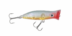 Halco Roosta Popper 60 -Pro Fishing Shop RP60 R42
