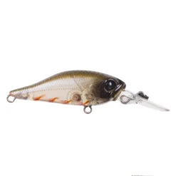Atomic Hardz Shad Deep 40mm -Pro Fishing Shop Tristoseagle
