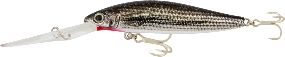 Samaki Redic DS100 11 Samaki Redic DS100 - Image 11