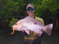 Tackle Tactics Snakelockz Jig Heads -Pro Fishing Shop full 1025