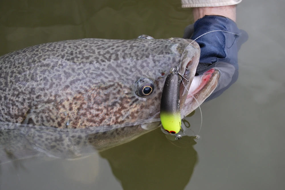 Mustad TG76 KVD Treble 1 Mustad TG76 KVD Treble