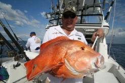 Wilson Aussie Made Fibreglass Gaffs 11 Wilson Aussie Made Fibreglass Gaffs -Pro Fishing Shop full 1791 IMG 9591