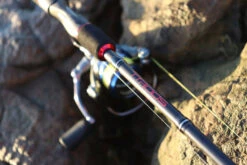 TTRods Red Belly Spin Rods -Pro Fishing Shop full 3272 TTRods RedBelly Outdoor 03 web