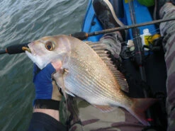 TTRods Copperhead Spin Rods -Pro Fishing Shop full 3278 P1170136