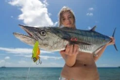 TT Switchblade HD Vibe -Pro Fishing Shop full 520