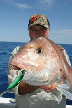 TT Switchblade HD Vibe -Pro Fishing Shop full 523