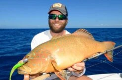 Tackle Tactics HeadlockZ HD Jig Heads -Pro Fishing Shop full 777