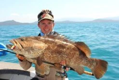 Tackle Tactics HeadlockZ HD Jig Heads -Pro Fishing Shop full 779