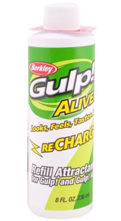 Gulp Alive Recharge Juice 236ml Bottle