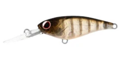 Daiwa Infeet Kodachi -Pro Fishing Shop ghost perch