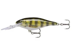 Rapala Shad Rap Deep Runner 9 Rapala Shad Rap Deep Runner -Pro Fishing Shop live perch