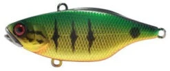 Jackall TN Series Vibes 37 Jackall TN Series Vibes -Pro Fishing Shop peacock