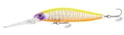Samaki Redic DS100 33 Samaki Redic DS100 -Pro Fishing Shop samaki redic ds100 cleopatra 1 1