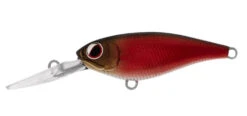 Daiwa Infeet Kodachi -Pro Fishing Shop sheer red