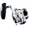 Shimano Ocea Jigger 4000HG
