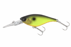 Jackall Soul Flat 58F -Pro Fishing Shop soulflat bkch