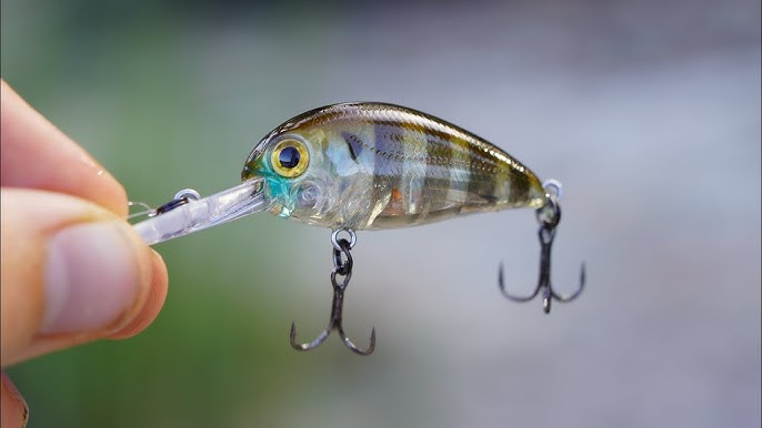 Pro Fishing Shop -Pro Fishing Shop hq720